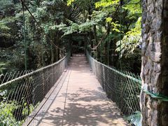 -西岭雪山大飞水景区