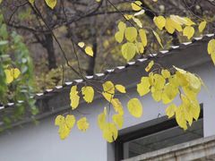 -北京上方山国家森林公园