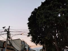 -周日夜市