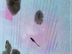 -桃园眷村(万象天地店)