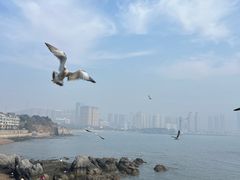 -黑石礁公园