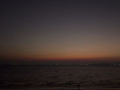 -卷心菜和避孕套餐厅(Pattaya)