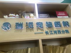 -瑞派长江宠物医院·猫科·外科·24小时夜护(谊城公寓分院)