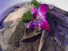 -捞锅坝子老火锅(汽博中心店)