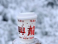 -瓦屋山景区