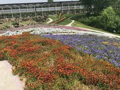 -南通洲际绿博园