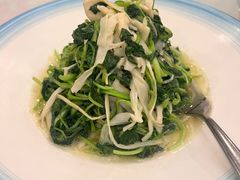 清炒鸡毛菜-天顺渔港·海景餐厅(星海广场店)