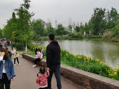 -白鹭湾湿地公园