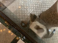 -Kekimatata 生日蛋糕·烘焙教学