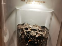 -莲花国际广场