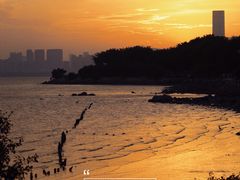 -深圳湾公园(南山区)