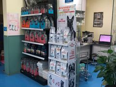 -佳怡动物医院·平价24小时·猫专科骨外科