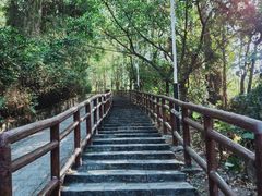 -水濂山森林公园