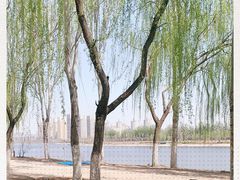 -东郊湿地公园