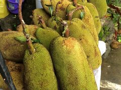 -瑞丽独树成林风景区