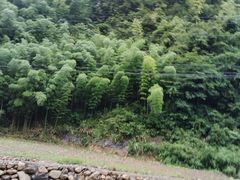 -将军关探险漂流