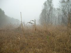 -滕州微山湖红荷湿地景区