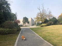 -桃花岛景观公园