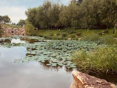 -莫子山公园