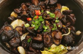 Stewed Wild Mountain Mushrooms in Stone Pot