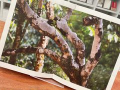 -二酉书店TOYOU BOOKS