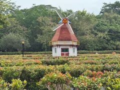 -东莞植物园