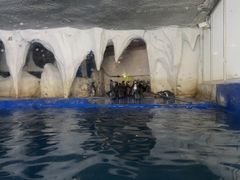 -太平洋海底世界