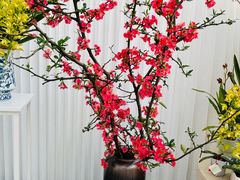 -中山公园