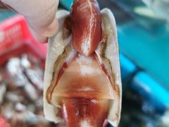 -崖口红树林海鲜餐厅