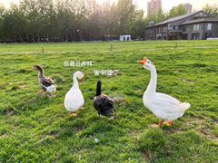 -蓝地时尚庄园(北京清河营地铁站店)
