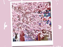 -桃花堤公园