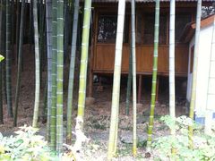 -木子山庄·安徽省老字号·中国炖锅宴