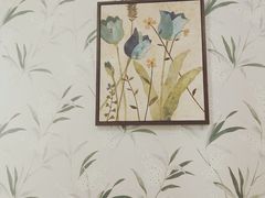 -嘉慧女子水汇