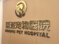 -瑞派康怡24h宠物医院·犬猫医疗中心·微创绝育(瑞景分院)