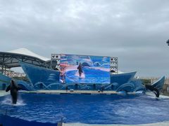 -上海海昌海洋公园