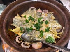 -新雅粤菜馆(南京东路店)