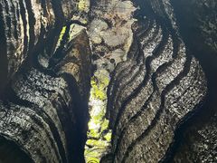 -梭布垭石林景区