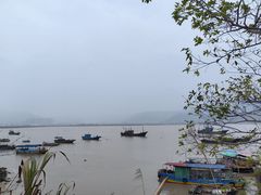 -北岐滩涂