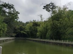 -中山市树木园
