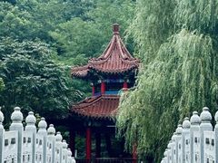 -大连植物园