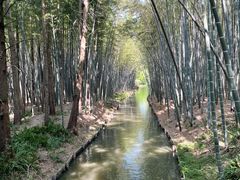 -同里国家湿地公园