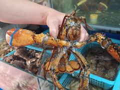 -云南巷海鲜大咖·可加工海鲜