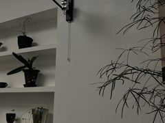 -你好独角兽·蛋糕甜品