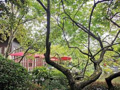 -杭州西子湖四季酒店-WL BISTRO西湖餐厅(灵隐路店)