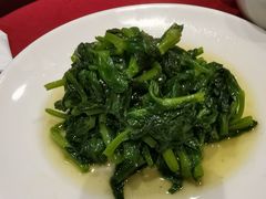 酒香豆苗-老吉士酒家(天平路店)