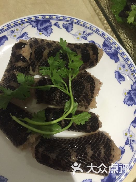 潮汕蛇庄图片 - 第340张