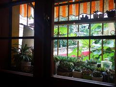 -春风十里咖啡馆