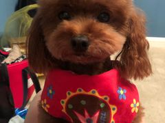 -喵汪宠物生活馆(涞坊路店)