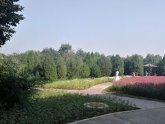 -石家庄市植物园