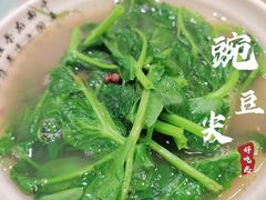 豌豆尖-杨三孃跷脚牛肉(中粮鸿云悦街店)
